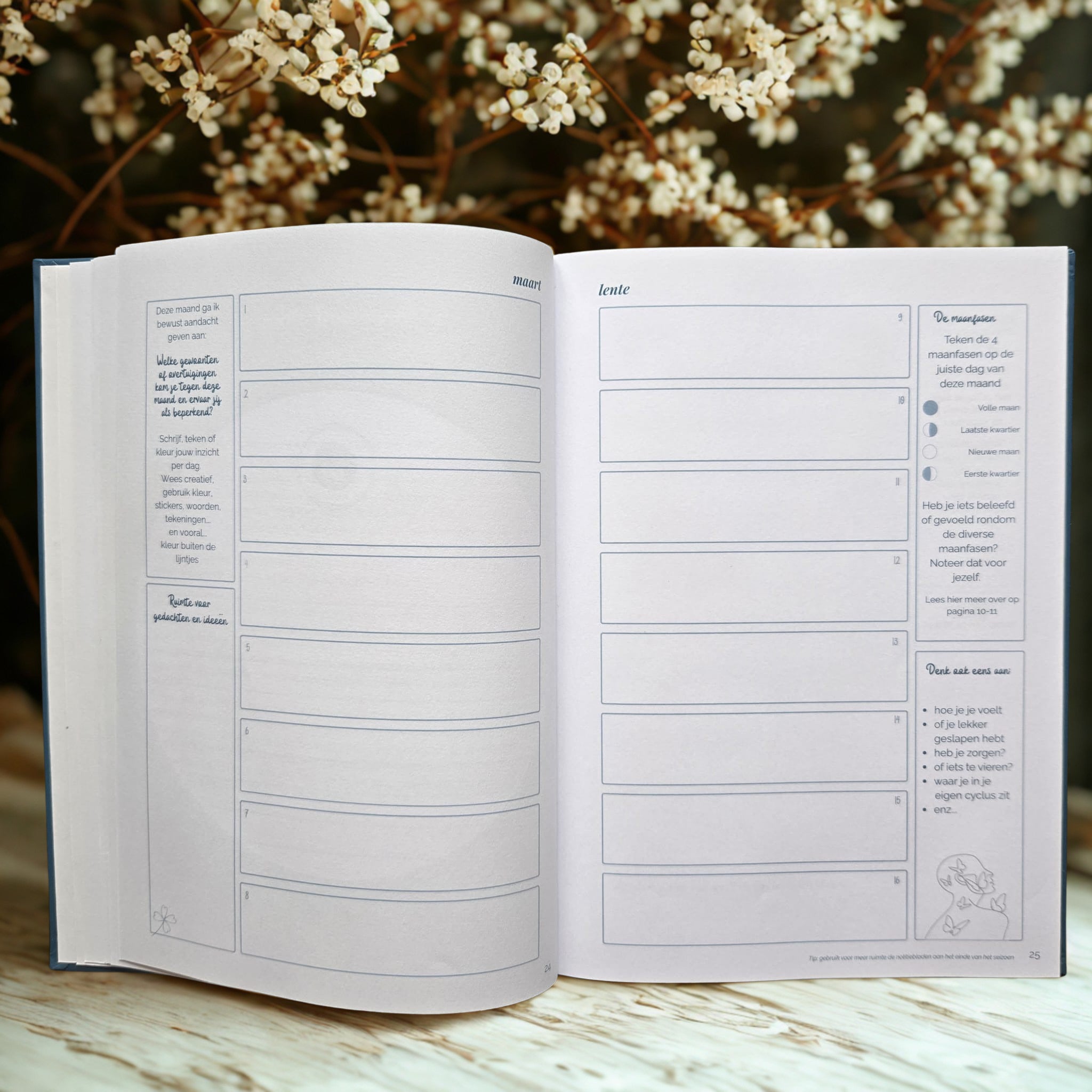 Licht & Wijs Journal